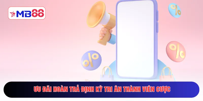 Ưu đãi hoàn trả định kỳ tri ân thành viên cược