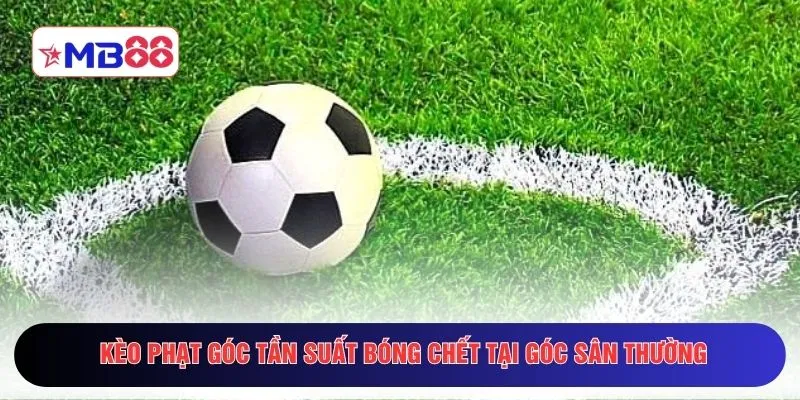 Kèo phạt góc tần suất bóng chết tại góc sân thường