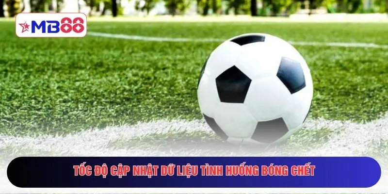 Tốc độ cập nhật dữ liệu tình huống bóng chết